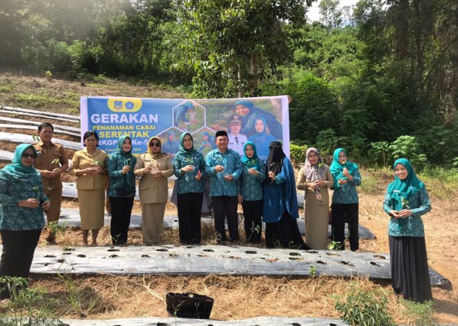 Peringati HKG, PKK Kolaka Timur Tanam Cabai Di Desa Tawainalu