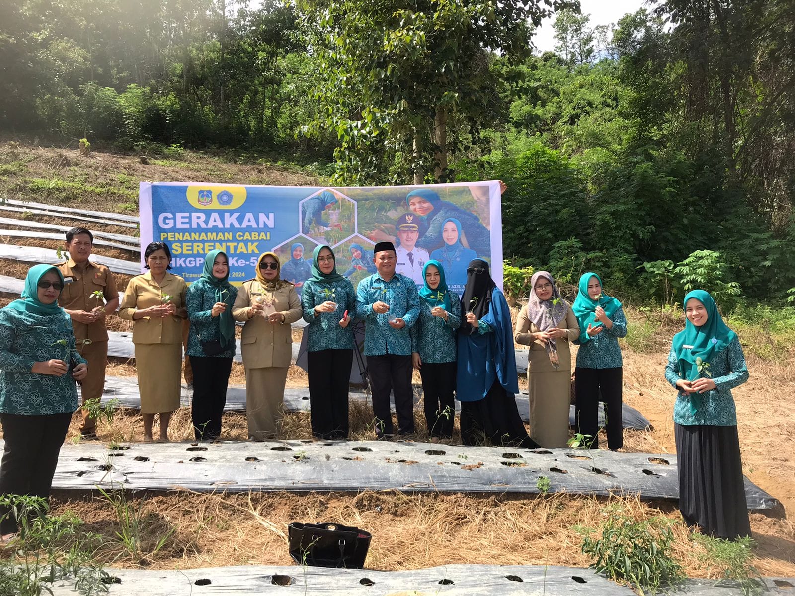 Peringati HKG, PKK Kolaka Timur Tanam Cabai Di Desa Tawainalu