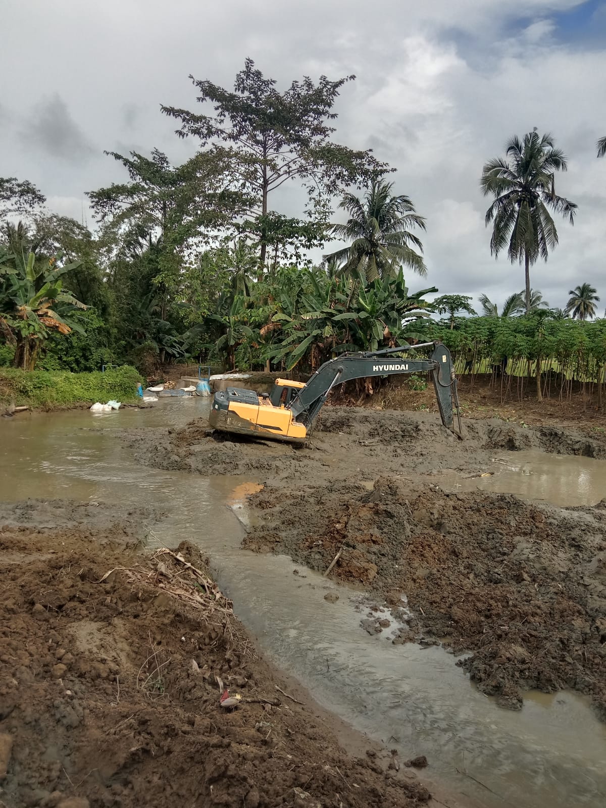 Cegah Pendangkalan Sungai di Lorong Produksi, Bupati Perintahkan Pengerukan