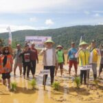 Tingkatkan Produksi Padi Di Kolaka Timur, Bupati Azis Tanam Perdana Padi Sawah di Tongauna