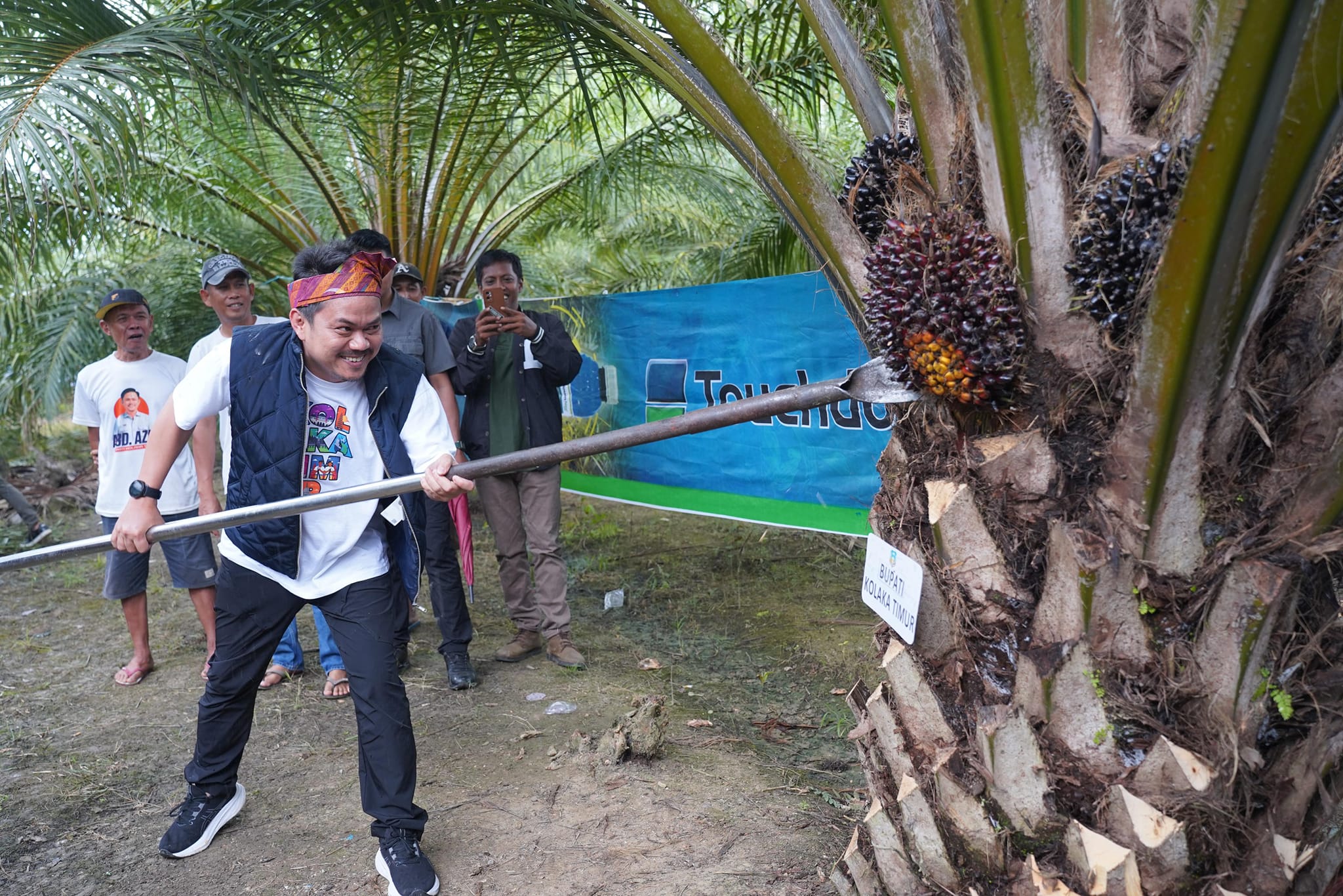 Bupati Koltim Panen Raya Sawit di Kecamatan Lambandia yang Merupakan Pola Perkebunan Rakyat