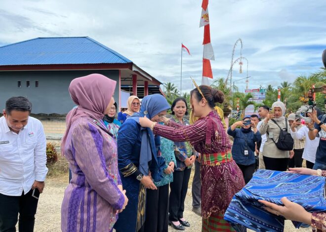 Ketua Tim Pembina Posyandu Sultra Kunjungi Koltim, Sosialisasikan Standar Pelayanan Minimal Posyandu