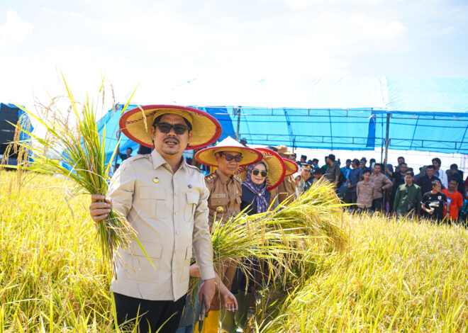 Bupati dan Wakil Bupati Koltim Hadiri Panen Raya di Desa Mekar Jaya