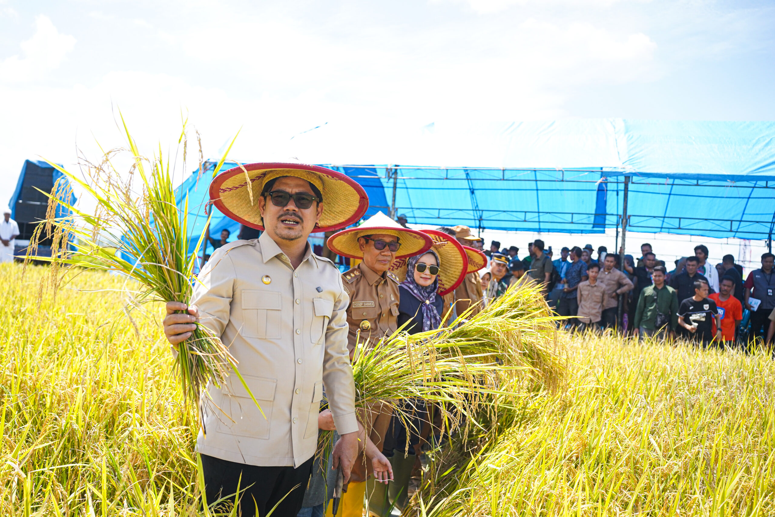 Bupati dan Wakil Bupati Koltim Hadiri Panen Raya di Desa Mekar Jaya