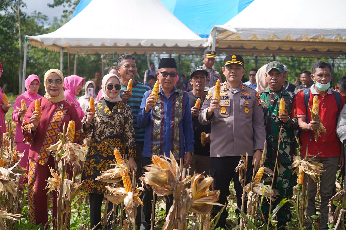 Panen Raya Jagung Serentak Kuartal II Digelar di Desa Wesalo, Wabup Koltim Tegaskan Komitmen Swasembada Pangan 2025