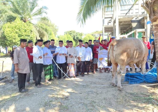 Presiden RI Salurkan Bantuan Sapi Kurban 925 Kg, Wabup Koltim Serahkan Langsung ke Warga Penanggo Jaya