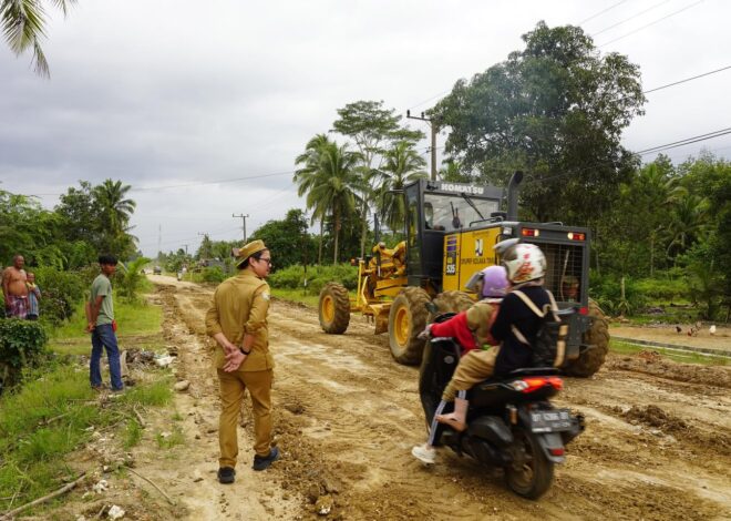 Perjuangan Bupati Kolaka Timur Terwujud, Pengaspalan Jalan Poli-Polia Hingga Perbatasan Konawe Selatan Segera Dilaksanakan