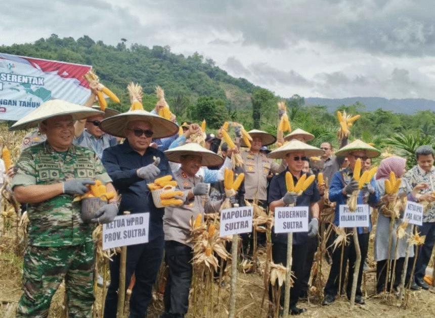 Panen Raya Jagung di Koltim, Bukti Komitmen Menuju Swasembada Pangan