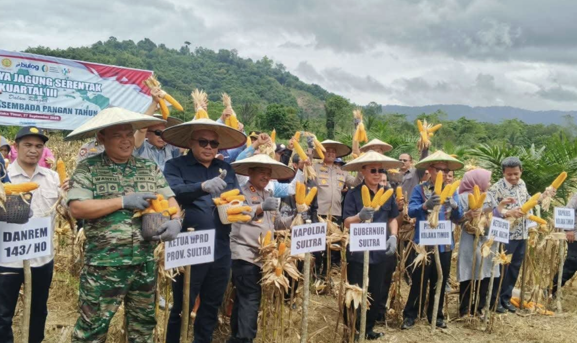Panen Raya Jagung di Koltim, Bukti Komitmen Menuju Swasembada Pangan